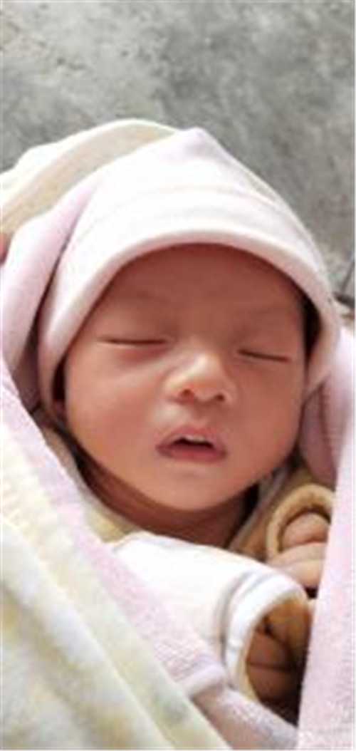 杭州代生子_试管婴儿知识—没想到这么多人选择借卵生子！
