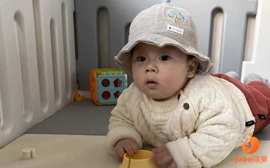 胚胎发育不全_卵巢早衰闭经怀孕_杭州6家医院可做试管婴儿 费用不超过5万
