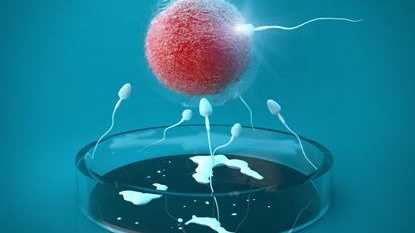 武汉代怀助孕服务|武汉助孕试管婴儿若遭遇卵泡过小或是发育不全的情况，成