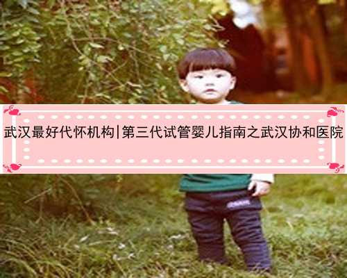 武汉最好代怀机构|第三代试管婴儿指南之武汉协和医院